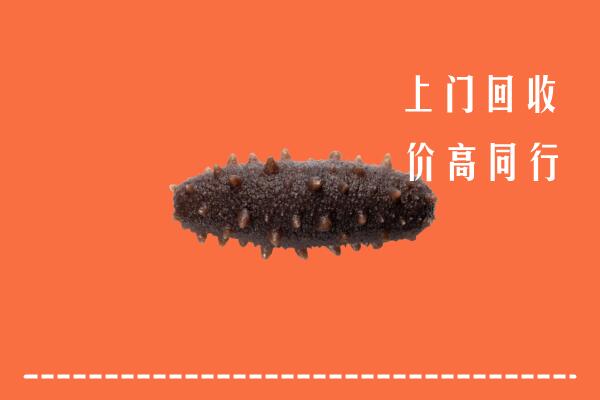 高价求购：巨鹿县回收海参
