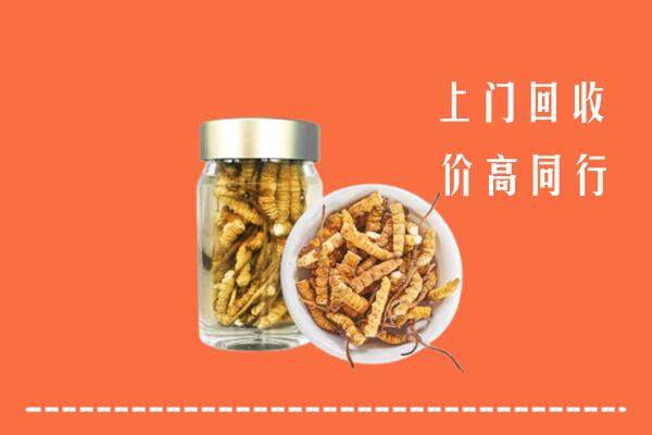 巨鹿县回收冬虫夏草