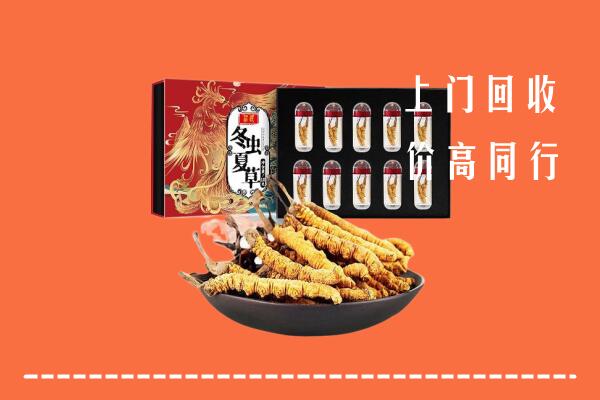 巨鹿县回收虫草